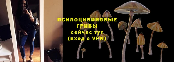 a pvp Долгопрудный