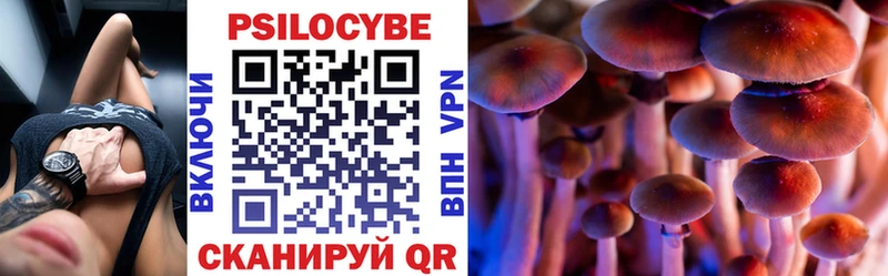 Галлюциногенные грибы Psilocybe  OMG как зайти  Катайск  где можно купить  